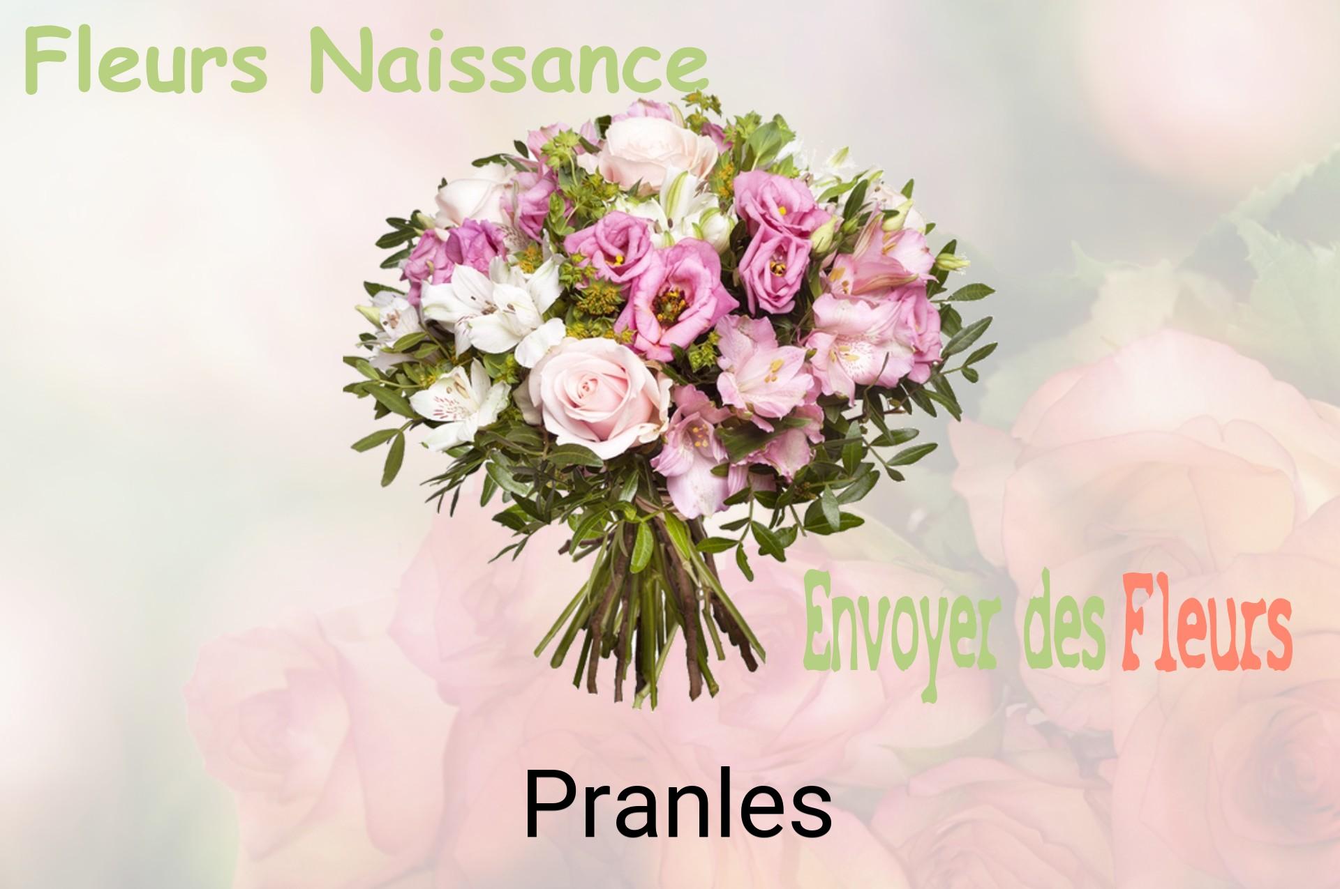 Bouquet de fleurs de naissance livré à Pranles