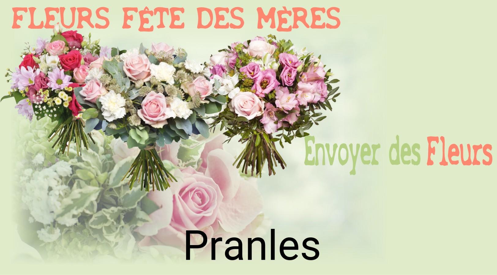 Bouquet de Fête des Mères livré à Pranles